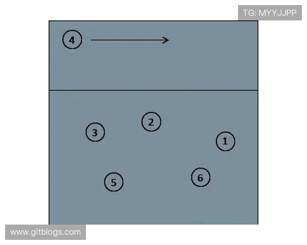 上海排球队在冠军赛中的速度优势与战术解析
